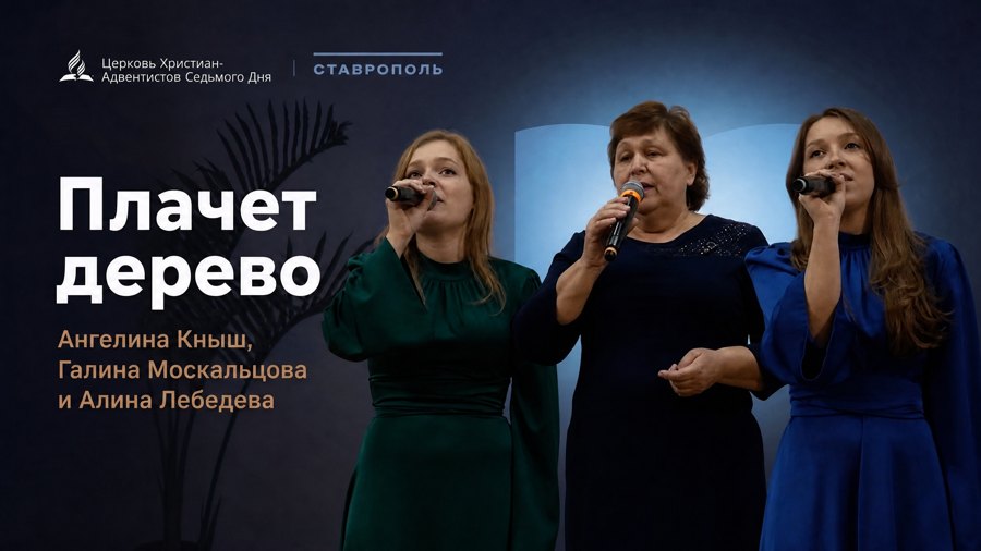 Обложка музыкального номера «Плачет дерево»